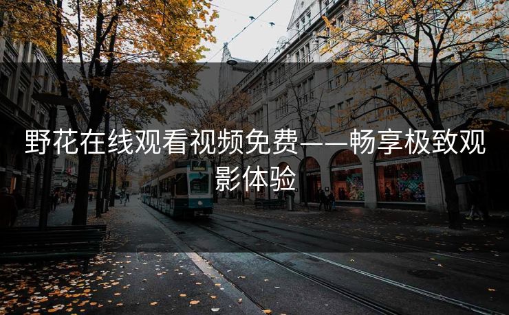 野花在线观看视频免费——畅享极致观影体验