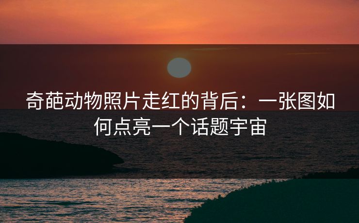 奇葩动物照片走红的背后:一张图如何点亮一个话题宇宙 奇葩动物照片走红的背后:一张图如何点亮一个话题宇宙