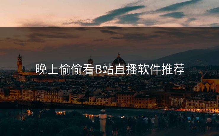 晚上偷偷看B站直播软件推荐 晚上偷偷看B站直播软件推荐