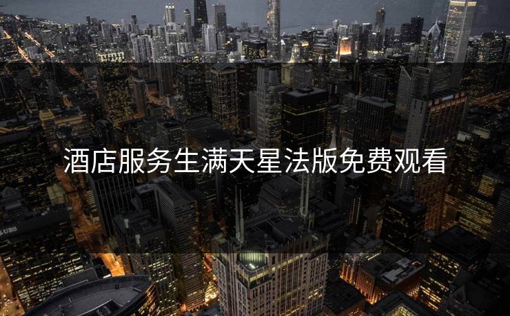 酒店服务生满天星法版免费观看